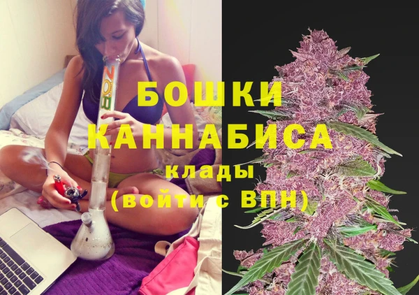 прущий лед Бронницы