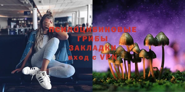 прущий лед Бронницы