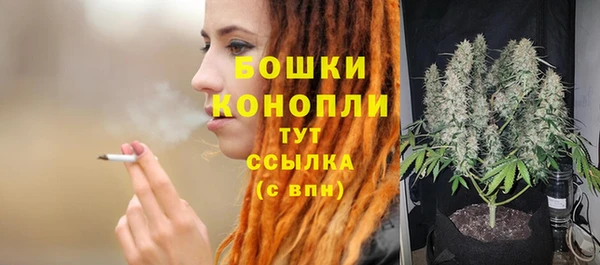 прущий лед Бронницы